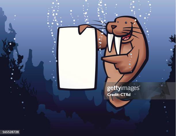 deep communication - walrus stock illustrations