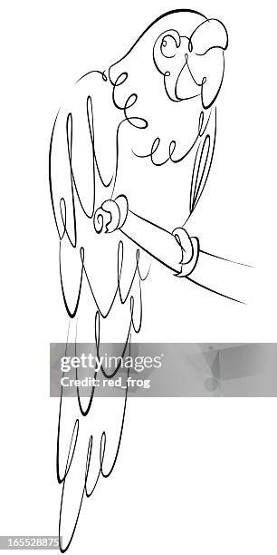 macaw - macaw stock illustrations