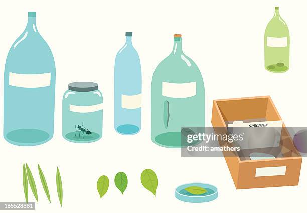 Lable Insect 1,281 Insect Labeled Stock Photos, High-Res Pictures, and Images ...