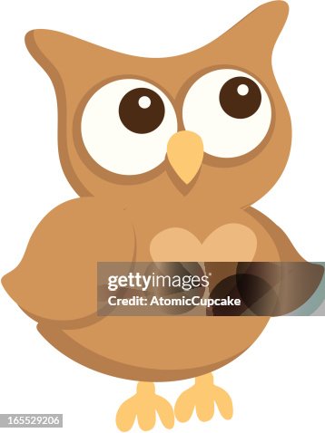 Owl Owl