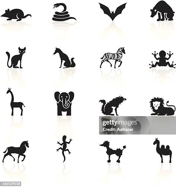 ilustrações, clipart, desenhos animados e ícones de preto símbolos de animais - lager