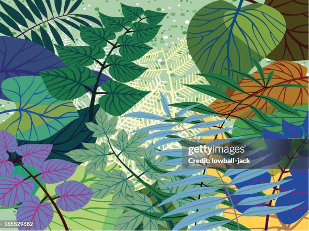 illustrations, cliparts, dessins animés et icônes de gambader dans la jungle - jungle tropicale végétation
