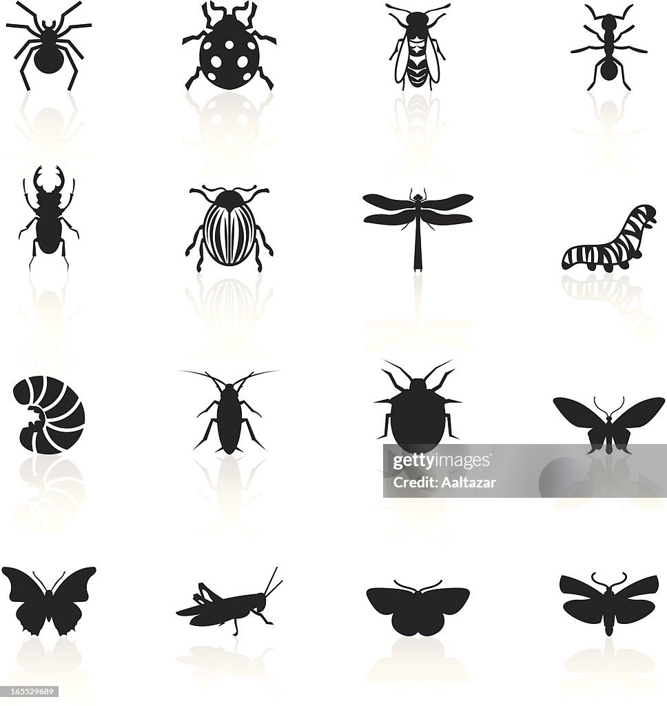 Sign For Insect Black Symbols Insects High-Res Vector Graphic - Getty Images