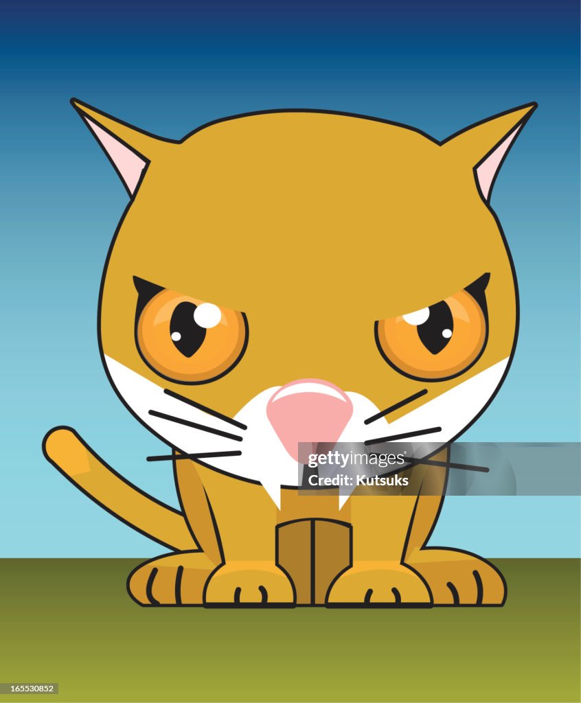 Puma