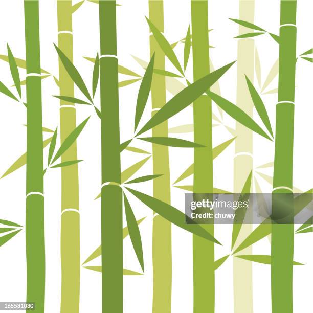 ilustrações, clipart, desenhos animados e ícones de fundo de bambu - bambu