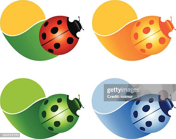 nature - spotless nine spotted ladybug stock illustrations