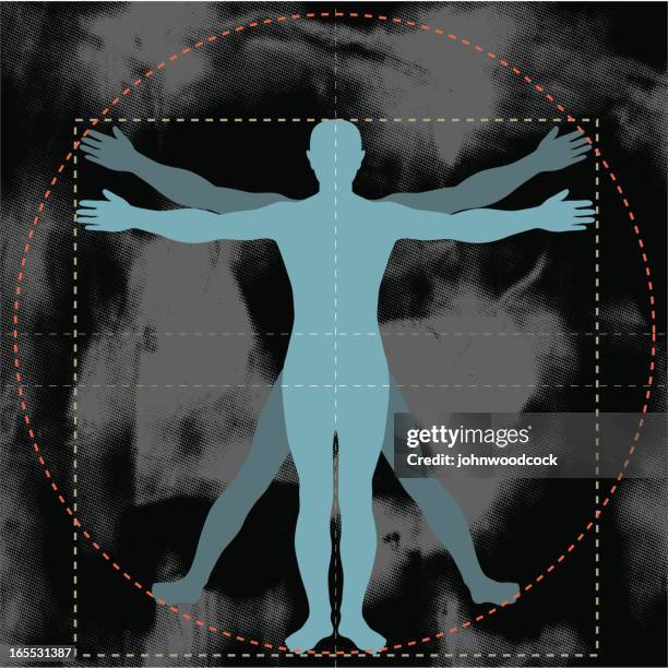 golden section. - naked stock illustrations stock illustrations