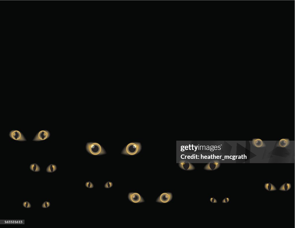 Animated image of sets of eyes staring on a black background