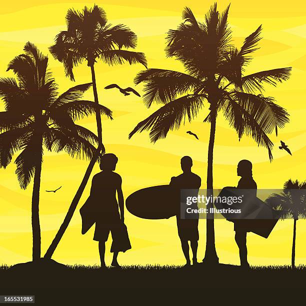 tropical scene - palm shadow background stock illustrations