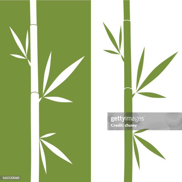 an illustration of mirrored bamboo - 竹 草科 幅插畫檔、美工圖案、卡通及圖標