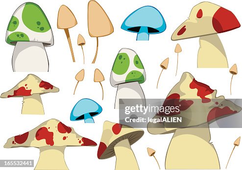 Toadstools Toadstools