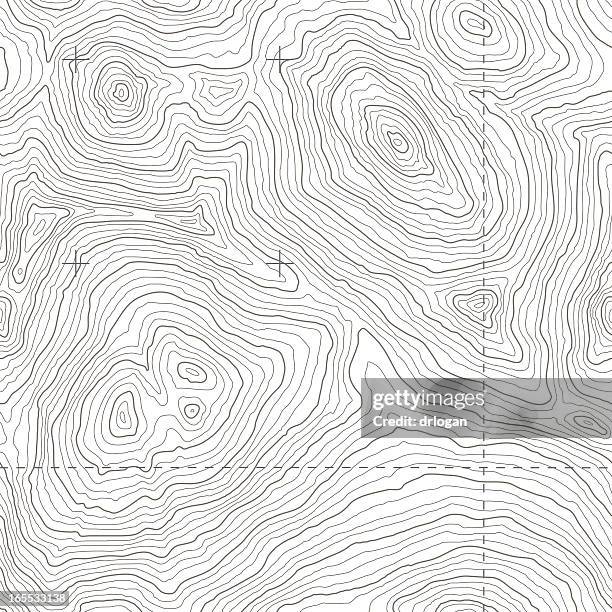 ilustraciones, imágenes clip art, dibujos animados e iconos de stock de seamless topographic mapa - topografía
