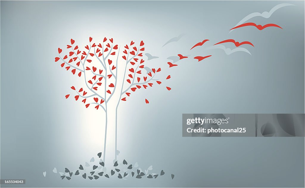 Amour arbre évolution
