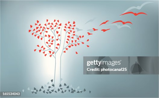 Lover Evolution Love Evolution Tree High-Res Vector Graphic - Getty Images