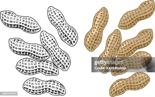 394点の食品 ピーナッツイラスト素材 Getty Images 394点の食品 ピーナッツイラスト素材 Getty Images