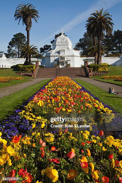 The Conservatory of Flowers is a greenhouse and botanical garden that houses a collection of rare and exotic plants in Golden Gate Park, With...