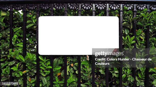 rectangular, empty and white street name sign on a wrought iron grid and green foliage in london, england, united kingdom - ferro battuto foto e immagini stock
