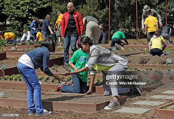 First lady Michelle Obama plants the White House Kitchen Garden on the South Lawn of the White House April 4, 2013 in Washington, DC. For the fifth...