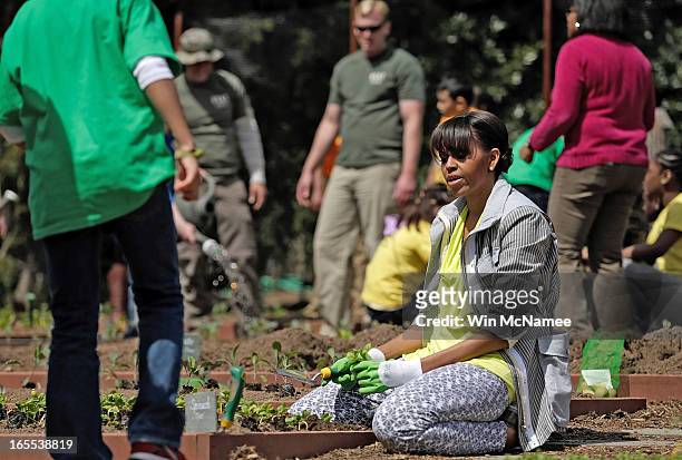 First lady Michelle Obama plants the White House Kitchen Garden on the South Lawn of the White House April 4, 2013 in Washington, DC. For the fifth...