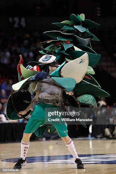 William Rothacker Jr 1,104 Stanford Tree Stock Photos, High-Res Pictures, and Images - Getty ...