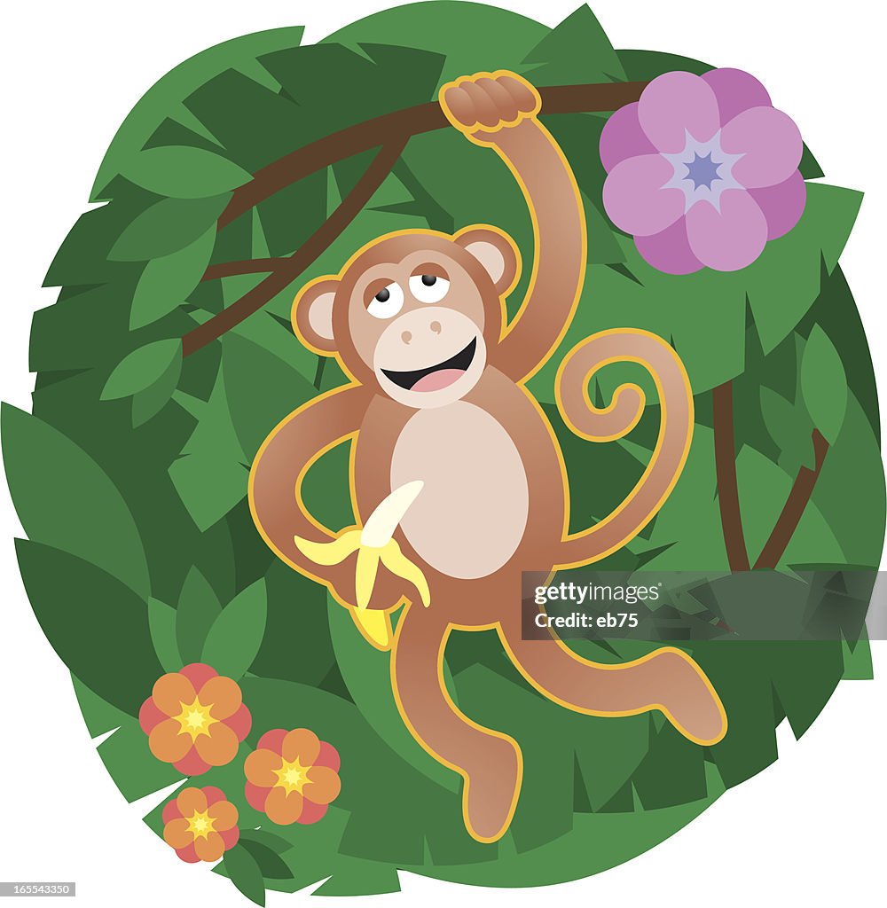 Happy monkey hanging from a tree