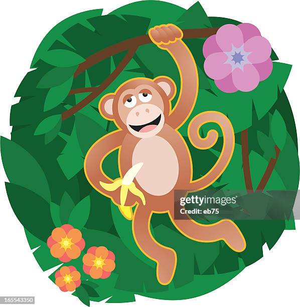 happy monkey hanging from a tree - monkey hanging stock illustrations