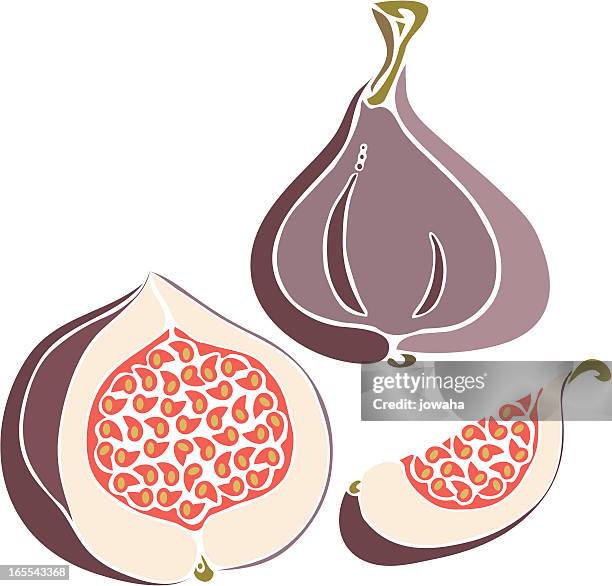 figs - fig tree stock illustrations