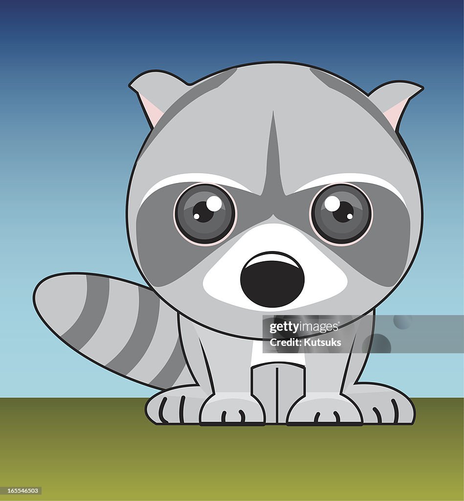 Raccoon