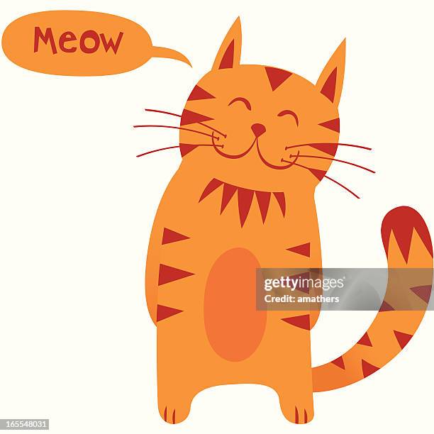 mr cat - whisker stock illustrations