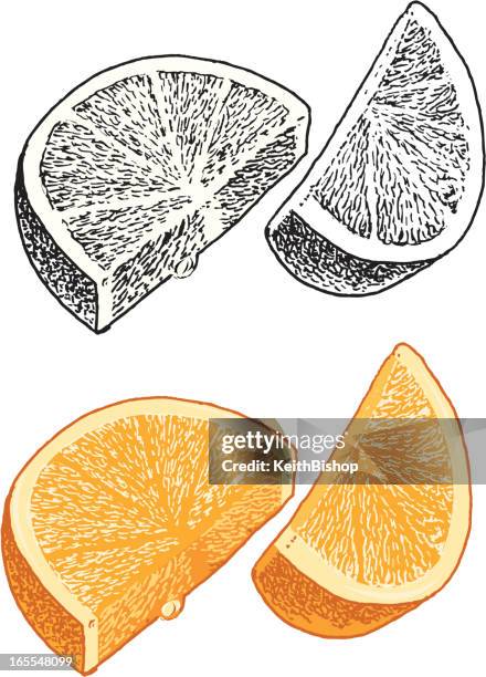 orange slice - orange slice white background stock illustrations