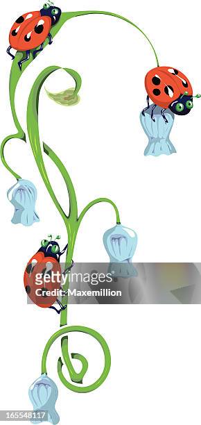 ilustrações, clipart, desenhos animados e ícones de ladybirds em harebell stem. - campanula liliaceae