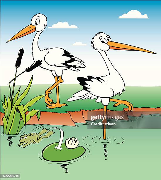 two storks - long grass vector stock illustrations