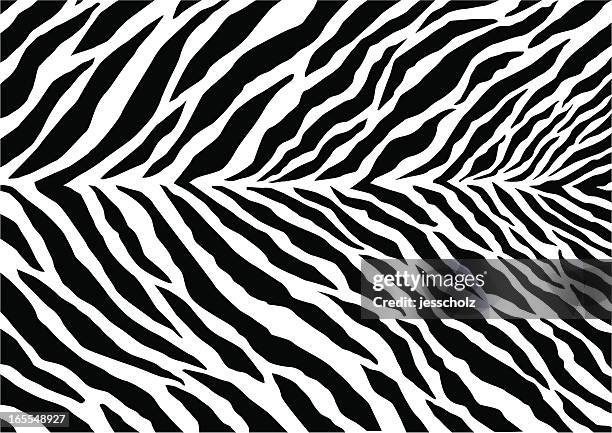 zebra print - zebra stock illustrations