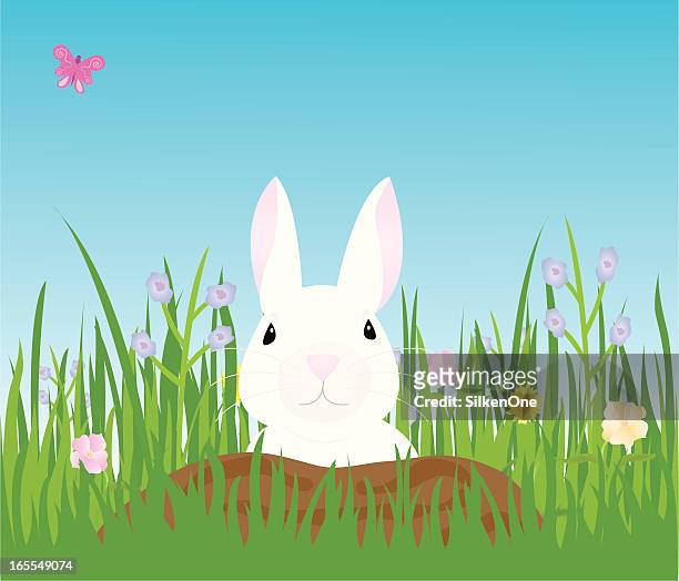 bunny - rabbit burrow stock illustrations