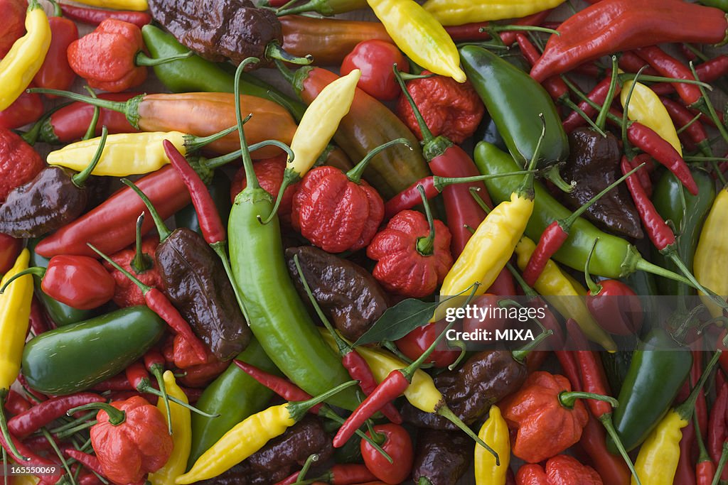 Assorted Multicolored Chili Pepper
