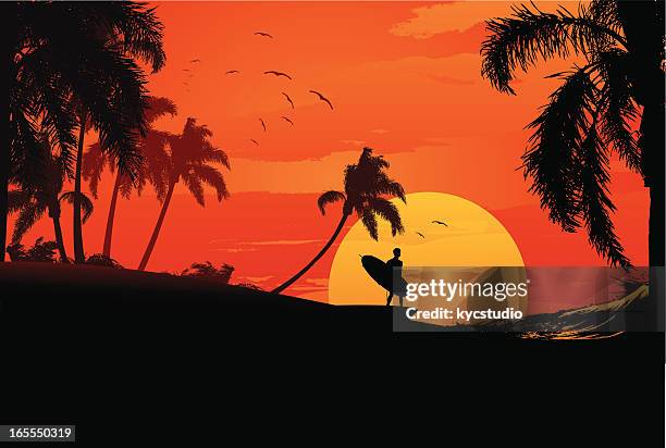 illustrazioni stock, clip art, cartoni animati e icone di tendenza di surfisti al tramonto - surfing stock illustrations