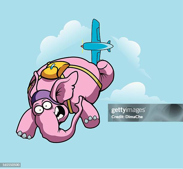 bildbanksillustrationer, clip art samt tecknat material och ikoner med elephant skydiver - paratrooper