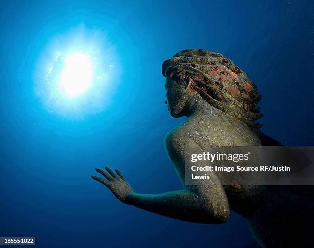 sunken statue underwater - figurehead fotografías e imágenes de stock