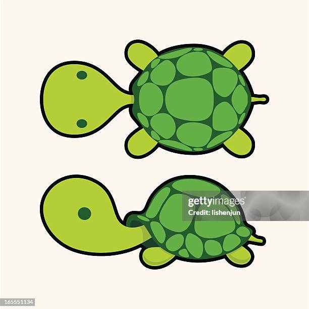 tortoise02 - tortoise shell stock illustrations