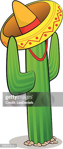 illustrations, cliparts, dessins animés et icônes de cactus et de sombrero dessin - chapeau mexicain