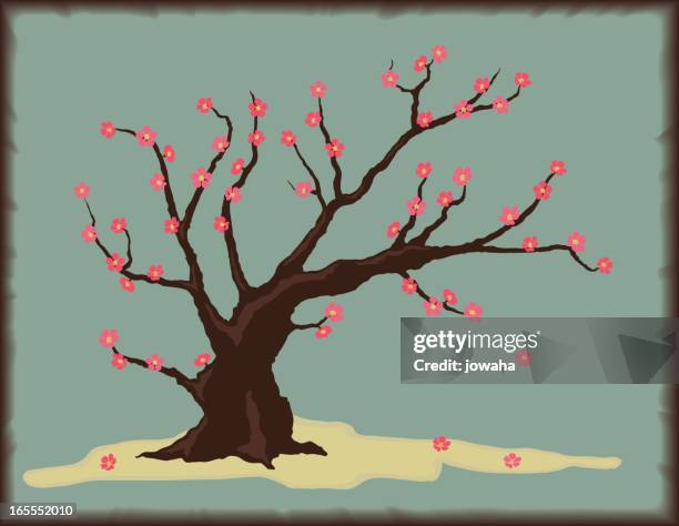 cherry tree with blossoms - oriental cherry tree stock illustrations