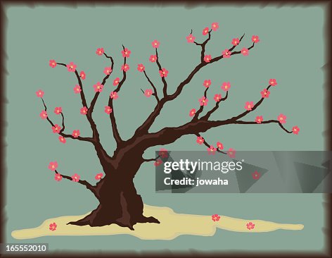 Cherry Tree with Blossoms Cherry Tree with Blossoms