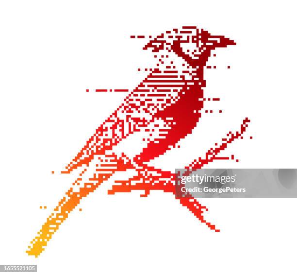 pixel art of blue jay perching on branch with glitch technique - blue jay vector stock illustrations
