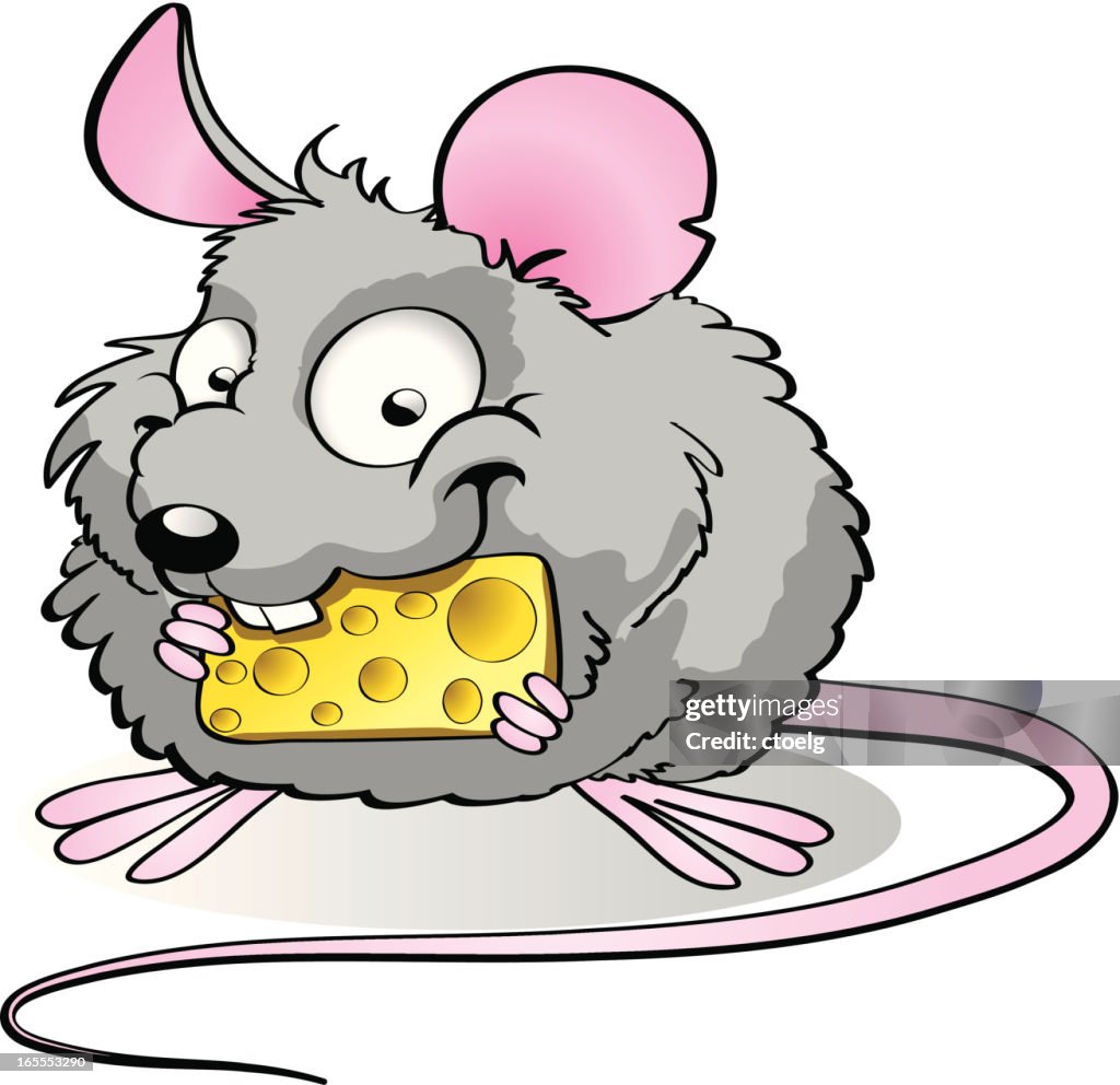 Little mouse with cheese
