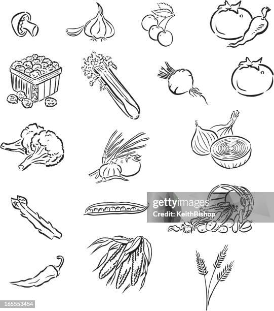 231点のミニトマトイラスト素材 Getty Images 231点のミニトマトイラスト素材 Getty Images