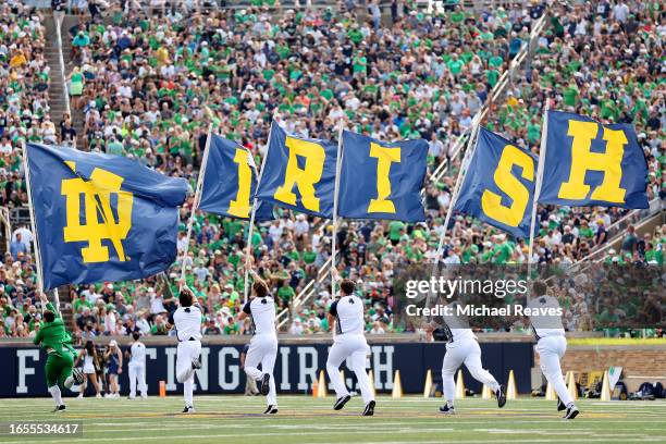 The Notre Dame Fighting Irish cheerleaders celebrate a touchdown against the Tennessee State Tigers during the first half at Notre Dame Stadium on...