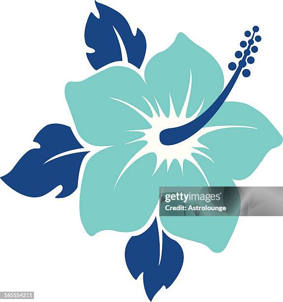 Ilustraciones de Hibiscus - Getty Images Ilustraciones de Hibiscus - Getty Images