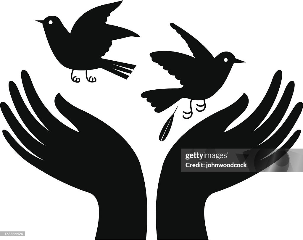 Libertação