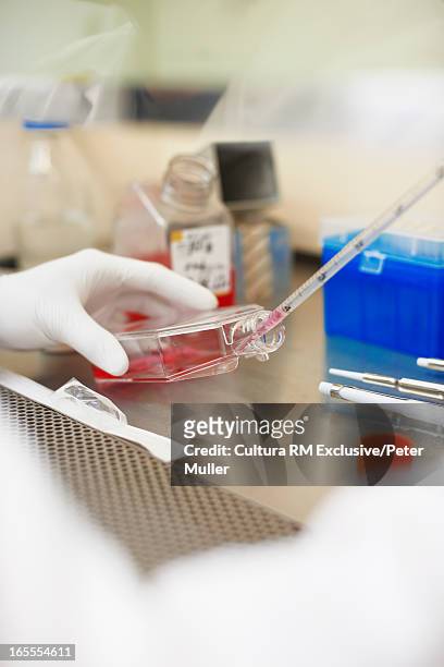 scientist pipetting liquid in lab - test strip stock pictures, royalty-free photos & images