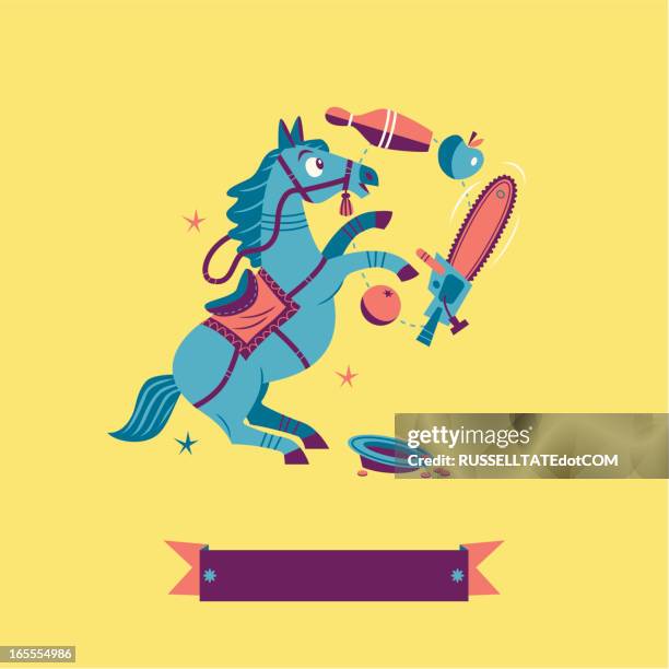 1,088 Pony Trick Stock Photos and High-Res Images - Getty Images